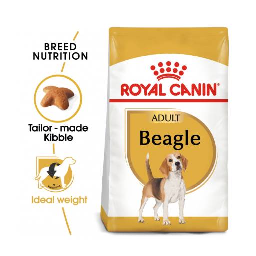 Beagle 2024 food diet