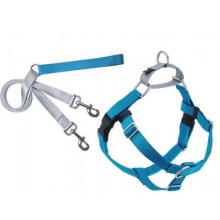 harness and training leash turquoise