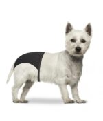 LR4705123 Duvo Dog Pants 24 31cm 32 39cm 40 49cmLength 24 31cm